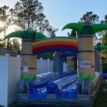 31 FT Run N Slide 2 Lane Slide