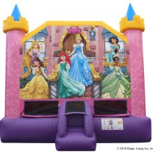 disney princess pink and purple bounce house